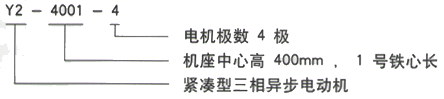 YR系列(H355-1000)高压YJTG三相异步电机西安西玛电机型号说明